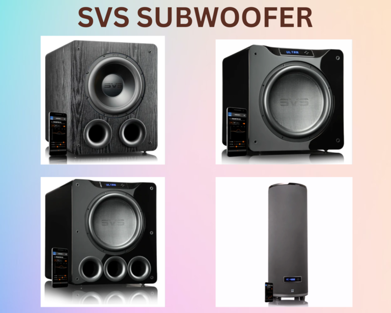 SVS Subwoofer